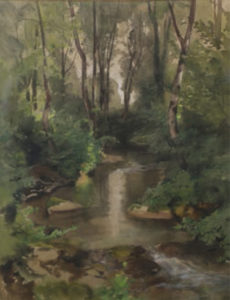 Rivière en sous-bois