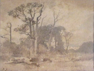Paysage